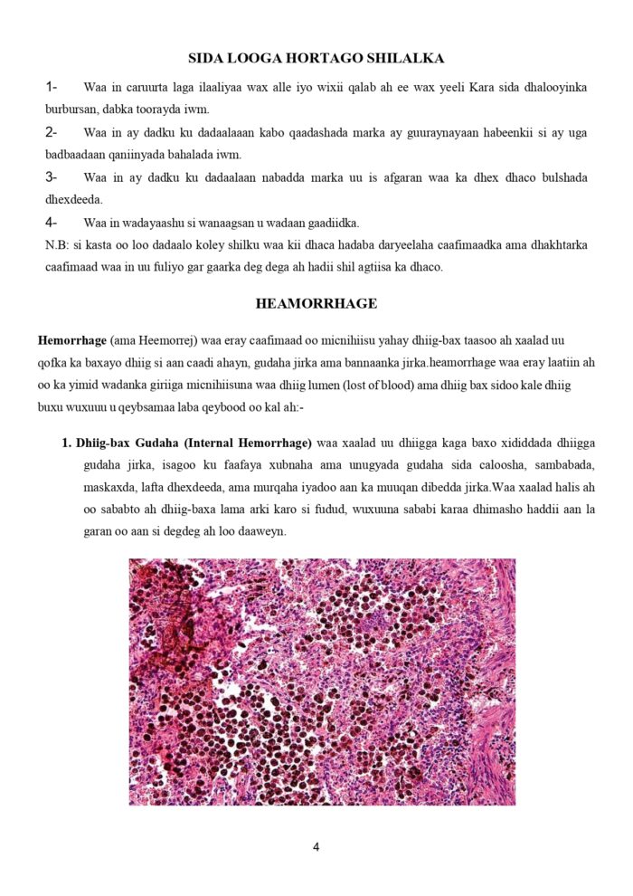 First Aid Book AF SOMALI page 0005